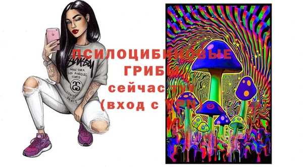 гашик Алзамай