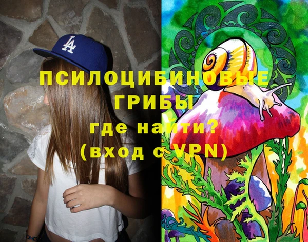 гашик Алзамай