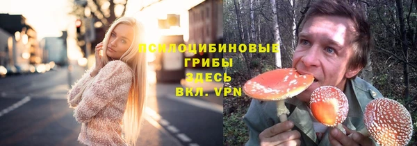 гашик Алзамай